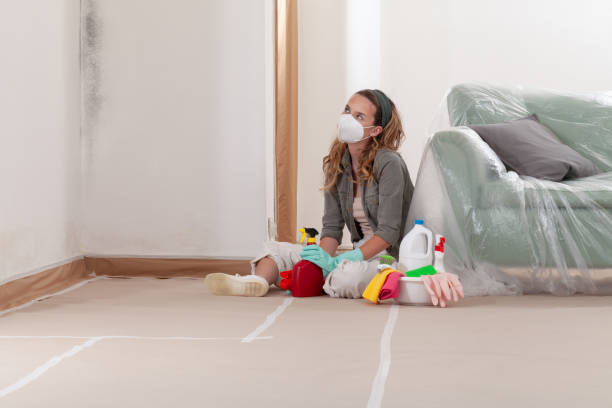 Reliable Mold Remediation contractor in Washington, WA by WQB Mold Removal
